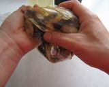なすのねぎまみれ作り方4写真