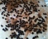 黒糖コーヒーチョコチップパン作り方3写真
