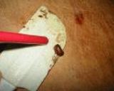 ほっこり！全粒あん作り方5写真
