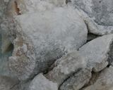 鯖南蛮作り方14写真