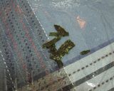 裏技！あっという間にのりおにぎり！作り方1写真