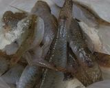 素麺のハゼとシシトウのせ～作り方4写真