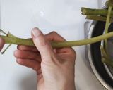 ふきの下茹で〜保存方法作り方4写真