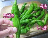 唐を食べ尽くす。夏【味噌唐チヂミ】作り方1写真
