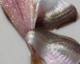 骨ごと食べられる　豆アジの天ぷら作り方3写真