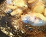 鶏手羽元のこってり煮作り方2写真