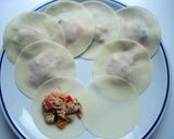 夏野菜の円盤餃子作り方3写真