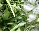 水菜の塩昆布モミモミサラダ(´Д` )作り方1写真