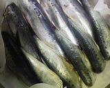 イワシの生姜煮☆活力鍋で骨まで〜♪作り方3写真