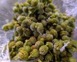【ちりめん山椒】365日ちりめん山椒常備作りおき作り方2写真