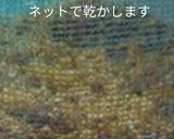 きんもくせいのお酒作り方3写真