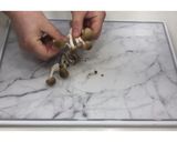 切り餅のpizza！もちピザ★動画あり★作り方3写真