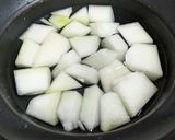 夏は冷やして冬瓜と鶏むね肉の炊いたん作り方5写真