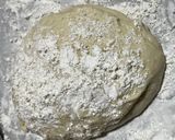 ホットケーキミックス200g肉まん作り方5写真