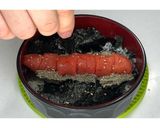 めんたい丼★動画あり★作り方13写真