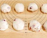 【発酵種】ヨーグルト種クランベリーパン作り方17写真