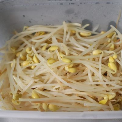 美味☆豆もやし（もやし）の胡桃みそ和え by 白雲堂