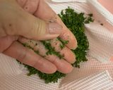 手作り！ドライパセリ　乾燥パセリ　作り方8写真