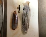 贅沢塩辛(身・酒・塩のみ)ほか2品作り方2写真