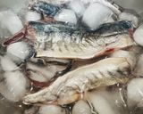 大葉と生姜で食べる、炙りしめアジ作り方6写真