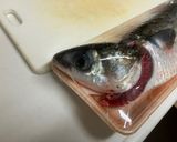 ボラの刺身作り方13写真
