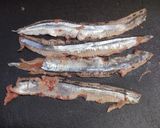 秋刀魚のつみれ みぞれ煮作り方1写真