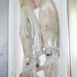 スルメイカのいかしたガリバタ肝醤油炒めいかが？作り方1写真
