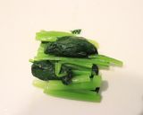 ホットサンドパンで卵ごぼう小松菜焼き作り方1写真