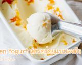 フローズンヨーグルト作り方10写真