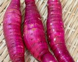 さつま芋♡と早煮昆布と鶏ひき肉のうま煮♪作り方1写真