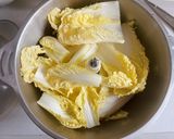 生地から水餃子を作るー豚白菜の水餃子作り方2写真