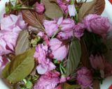 塩と酢だけで桜の花の塩漬け作り方2写真