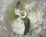 ミートスパゲッティーの冷凍弁当作り方1写真
