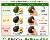 保存版✅超わかる！アボカド食べ頃・選び方ガイド🥑作り方1写真