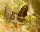 【冬野菜スープ・カルダモン風味】作り方3写真