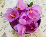 芙蓉の甘酢漬け　美肌に♡作り方1写真