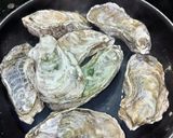 牡蠣の酒蒸し！フライパンで簡単作り方2写真