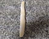 手打ちうどん作り方3写真