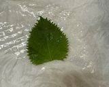 レンコンめんたいの簡単ライスペーパー揚げ作り方9写真