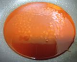 豚こま肉で❢ 酢豚作り方3写真