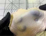 パウンド型で作る！簡単ミニ食パン！作り方3写真