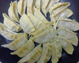 キャベツたっぷりヘルシー餃子 胸肉で作り方7写真