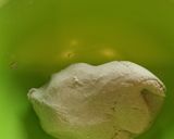たまには手作り★シンプルお蕎麦作り方2写真