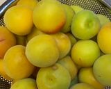 絶対に失敗しない梅干の作り方作り方1写真