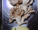 ヨウサマの減塩しめじ&舞茸のポタージュ作り方1写真