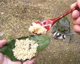 コーヒーの葉を使って炊いたバケツ稲作り方9写真
