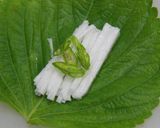 えごまの葉天作り方12写真