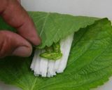 えごまの葉天作り方13写真
