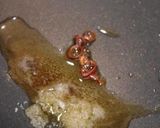 ひじきの香味和え作り方5写真