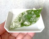 イロハモミジ塩作り方19写真